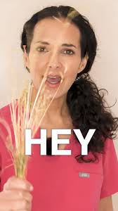 Solidharmonie2013Official