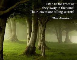 Surrender to the truth as quickly as you can. Quotes Quotes Tree