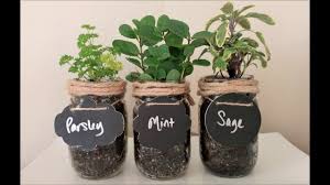 We did not find results for: Diy Craft How To Make A Mason Jar Indoor Herb Garden Youtube