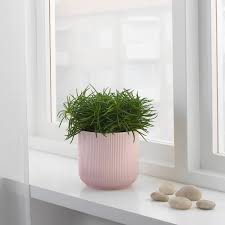Gradvis Ikea Deutschland Topfblumen Blumentopf Design Ikea Blumen