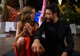 Son olarak trt 1 dizisi gönül dağı'nda serdar karakterine hayat vermiş olan oyuncu, erkenci kuş dizisinde yiğit rolüne hayat. Cam Tavanlar 5 Bolum Full Tek Parca Izle Cam Tavanlar Son Bolum Izle