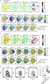 Nk Cells Are Activated And Primed For Skin Homing During Acute Dengue Virus Infection In Humans Nature Communications