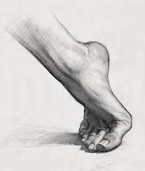 Constructing And Shading The Foot Anatomy Assignment Anatomy Drawing Anatomy Sketches Anatomy Art