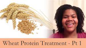 Natural hair products tips, shampoos; Part 1 Hydrolyzed Wheat Protein Treatment On Starter Locs Youtube