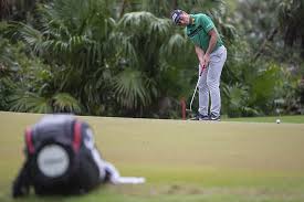A norwegian professional golfer is named for viktor hovland. Off The Wire