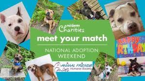 Petsmart is the world's largest pet supply and petsmart is the world's largest pet supply and service retailer, offering over 10,000 products in ea. Petmobile At Petsmart National Adoption Weekend Bridgewater Falls Petsmart Hamilton July 23 2021 Allevents In