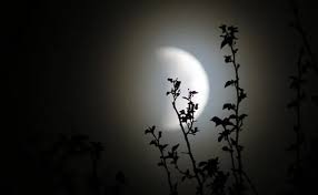 Assam police constable admit card 2021 tomorrow for sivasagar, jorhat and karimganj: Chandra Grahan 2021 Lunar Eclipse 2021 Pregnant Women Are Advised To Avoid These Things Know Why Chandra Grahan 2021 à¤†à¤œ à¤²à¤—à¤¨ à¤µ à¤² à¤¹ à¤¸ à¤² à¤• à¤ªà¤¹à¤² à¤š à¤¦ à¤° à¤— à¤°à¤¹à¤£ à¤—à¤° à¤­à¤µà¤¤ à¤®à¤¹ à¤² à¤ à¤¨