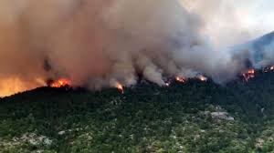 We did not find results for: Incendio Al Parco Della Maiella Da Dieci Giorni In Fiamme I Monti Dove Visse Celestino V La Repubblica
