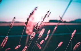 Памятные даты 13 июля, годовщины и события. Www Rbc Ua Static Img T H The 3070770 960 720 6