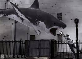 심심할 때 팝콘과 콜라를들고 보기. ìµìŠ¤íŠ¸ë¦¼ë¬´ë¹„ ìƒ¤í¬ë„¤ì´ë„ ì˜ ê±°ì„¼ í›„ í­í'