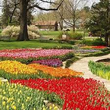 5 Midwest Spring Flower Festivals Beautiful Gardens Flower Festival Spring Flowers