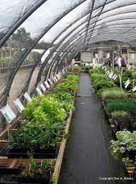 Plant Delights Lives Up To Its Name Red Dirt Ramblings Walk In Greenhouse Garden Nursery Plant Nursery
