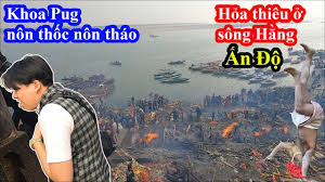 Phóng sự được quay trong chuyến hành hương đất phật của đoàn phật tử việt nam do đđ. H á» A T H I U á»Ÿ Song Háº±ng áº¥n Ä'á»™ Khoa Pug N O N Thá»'c N O N Thao Táº¡i Chá»— Food Tour India 2020 Youtube