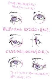 目の描き方を考える toshi の漫画 pixiv 顔のスケッチ 解剖学アート 目のスケッチ