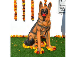 We did not find results for: India Police Dog Which Helped Crack 49 Cases Gets Statue India Gulf News