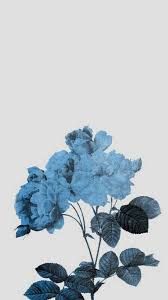 Pinterest Kylawren Blue Wallpaper Iphone Blue Wallpapers Light Blue Aesthetic
