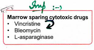 Pin On Immunology
