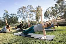 Pilates in the Vines