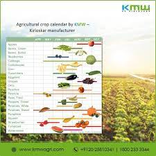 District Level Crop Weather Calendars Of Major Crops In India Kmw Agri