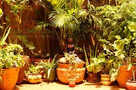 When a home designed by their mentor nearly falls into ruin, roberto peregalli and laura sartori rimini step in to save the masterpiece. Design Decor Disha An Indian Design Decor Blog My Balcony Garden Makeover