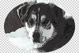 Een catalogus gevuld met leuke zomerontwerpen, in strepen en pittige kleurcombinaties. 187 Png Images Klipartz