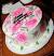 Beginner Airbrush Cake Decorating