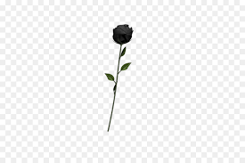 Tatuaggio rosa stilizzata uomo picture gallery grazie per aver visitato 40 tatuaggi con la rosa nera. Rosa Nera Art Emoji Non Morti Scaricare Png Disegno Png Trasparente Impianto Png Scaricare