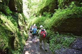 Maybe you would like to learn more about one of these? Drachenschlucht Bei Eisenach Thuringer Wald