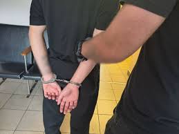 policja