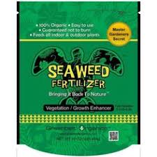 Greenbelt Organics Seaweed 1 Lb Organic Powder Fertilizer Bag Gb00562p1lb The Home Depot Fertilizer Organic Liquid Fertilizer Greenbelt