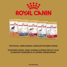 Tum Royal Canin Markali Urunleri Satisimiz Vardir Istediginiz Urunu Mesaj Atarak Elimizde Mevcut Olup Olmadigini Ogrenebilir Ve Siparis Ve Kopek Kedi Urunler