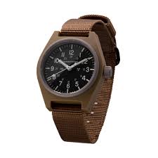 Image result for Desert Tan 1983 Tempo