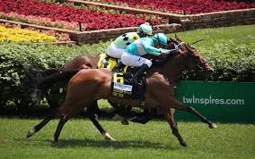 Expert Horse Racing Handicapping