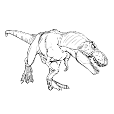 Een kleurplaat dinosaurus vinden kinderen natuurlijk helemaal te gek kinderen zijn vaak dol op dino s. Dino Malvorlagen T Rex Novocom Top