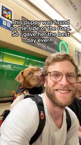 THE TAIL WAGS OF PURE JOY 🥹