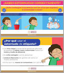 Pin En Cartones De Huevos