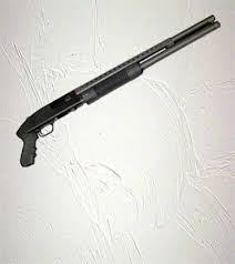 Image result for gun