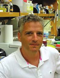 Na 1.6 dysregulation in arrhythmias p. 2