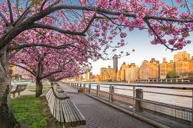 Check spelling or type a new query. 10 Most Beautiful Flower Cities In The World This Is Italy Page 7