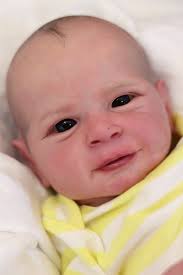 by Holly Paz from Golden Hour Nursery