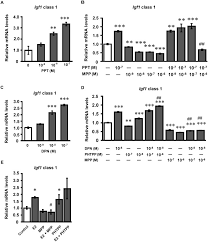 Homeopathy treatment for endometriosis at welling homeopathy clinics, india offer specially formulated homeopathy medicines for endometriosis. Effects Of Ppt Mpp Dpn And Phtpp On Class 1 Igf1 Mrna Expression In Download Scientific Diagram