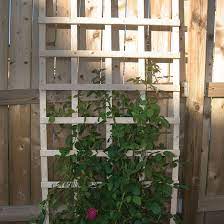 In this post, you'll learn how to build your own wire trellis and create a beautiful backdrop for your yard. 10 Diy Garden Trellises That Cost Less Than 20