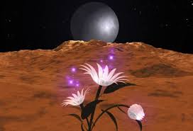 Resultado de imagen de la frecuencia del amor