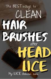 Should you buy a special comb? 5 Proven Ways To Clean Your Hair Brushes After Head Lice