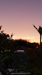 Maybe you would like to learn more about one of these? Aesthetic Things Aesthetic Dark Flowers Instagram Roses Sun Sunset Tumblr Hd Mobile Wallpaper Peakpx