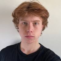 50+ "Joe Morel" profiles