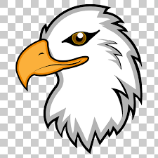 Eagle Hawk Kite Bird Png Image With Transparent Background Eagle Drawing Eagle Art Drawings