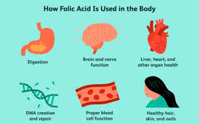 Image result for Folic Acid