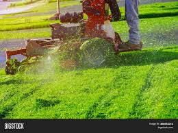 What about lawn care, garden ideas, landscaping tips do you love gardening and lawn care? Home Garden Grass Image Photo Free Trial Bigstock