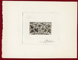 Image result for Cogniauxia